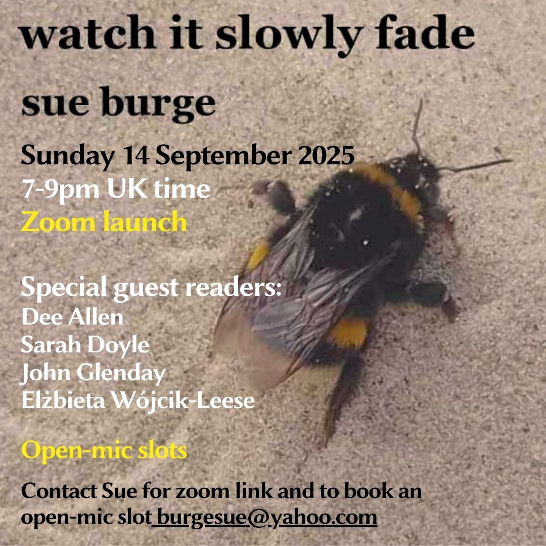 Watch it slowly fade - Reading poster